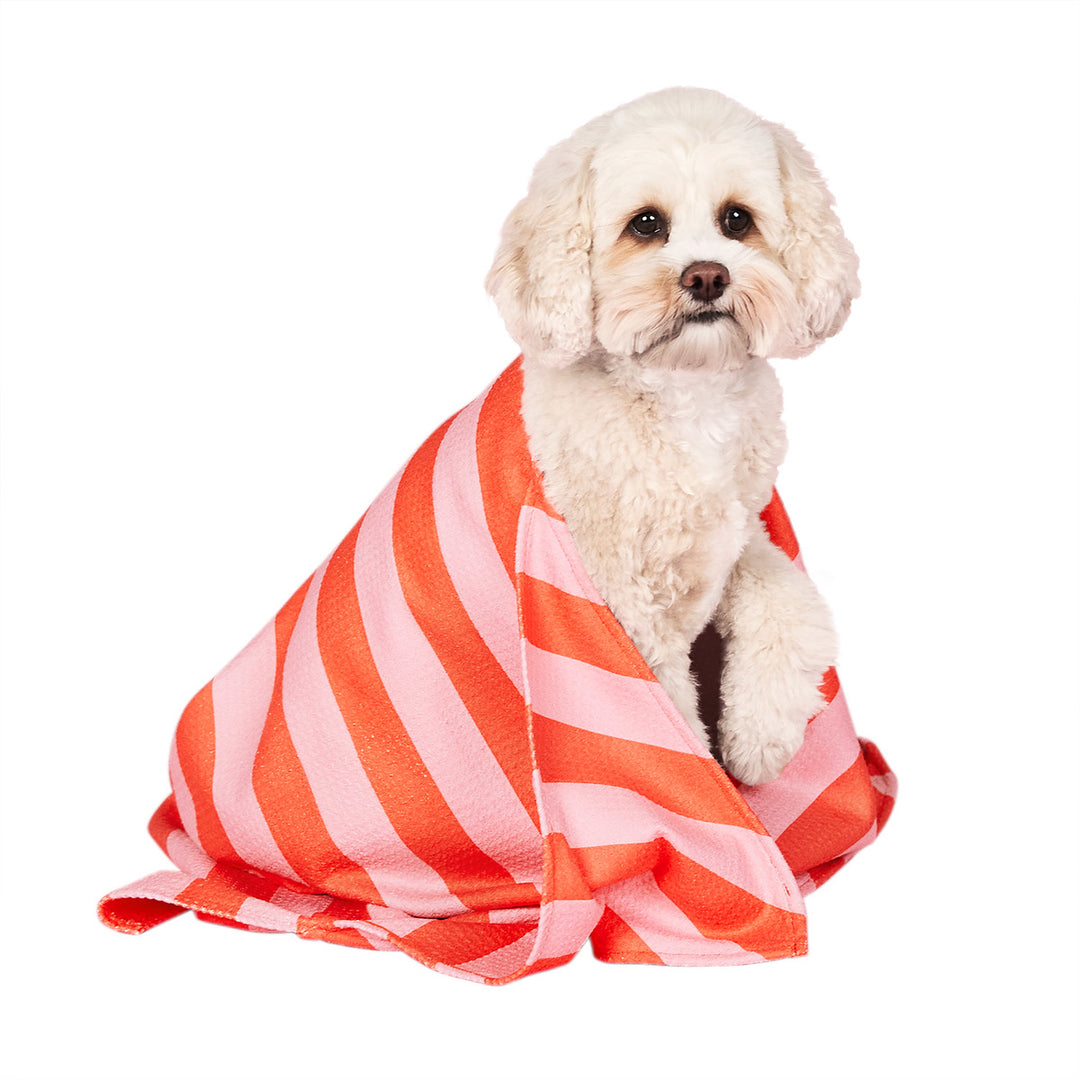 Cheap dog towels best sale