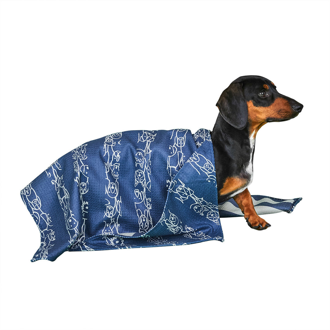 Dachshund Rainbow Beach Blanket Dachshund Rainbow Beach Blanket