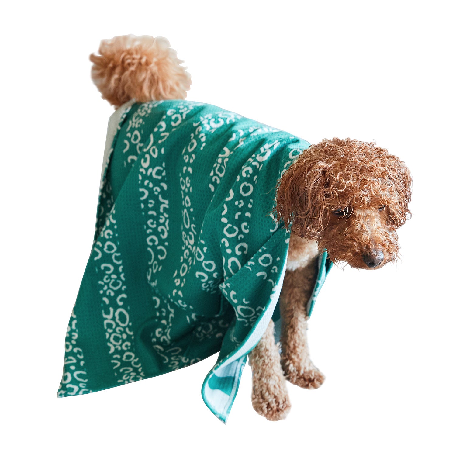Dock & Bay Dog Towel - Woofs Go Wild