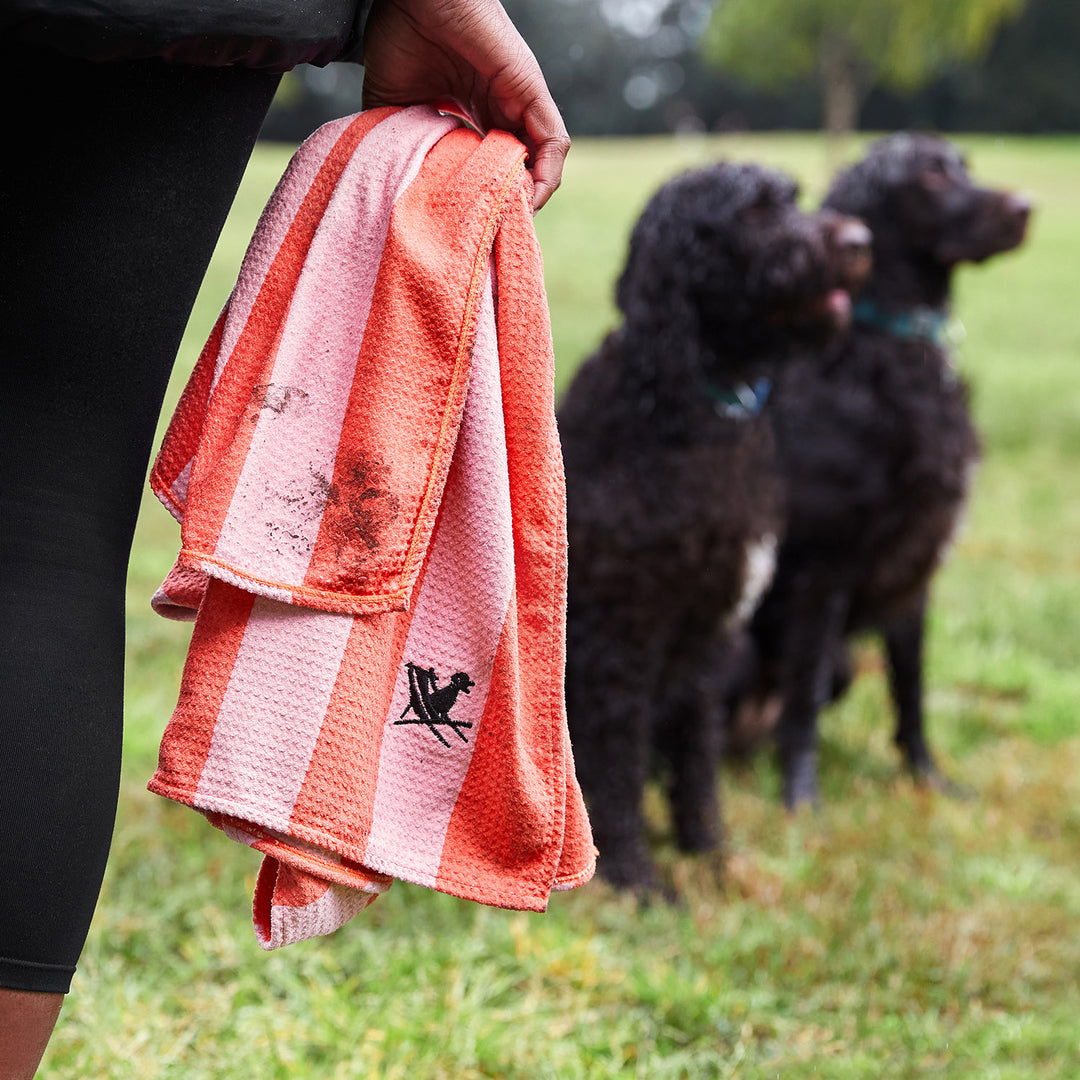 beach towels with dogs on them