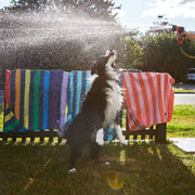 Dog & Bay - Towels for Pets - Dog Days