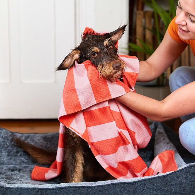 dock and bay dog towels