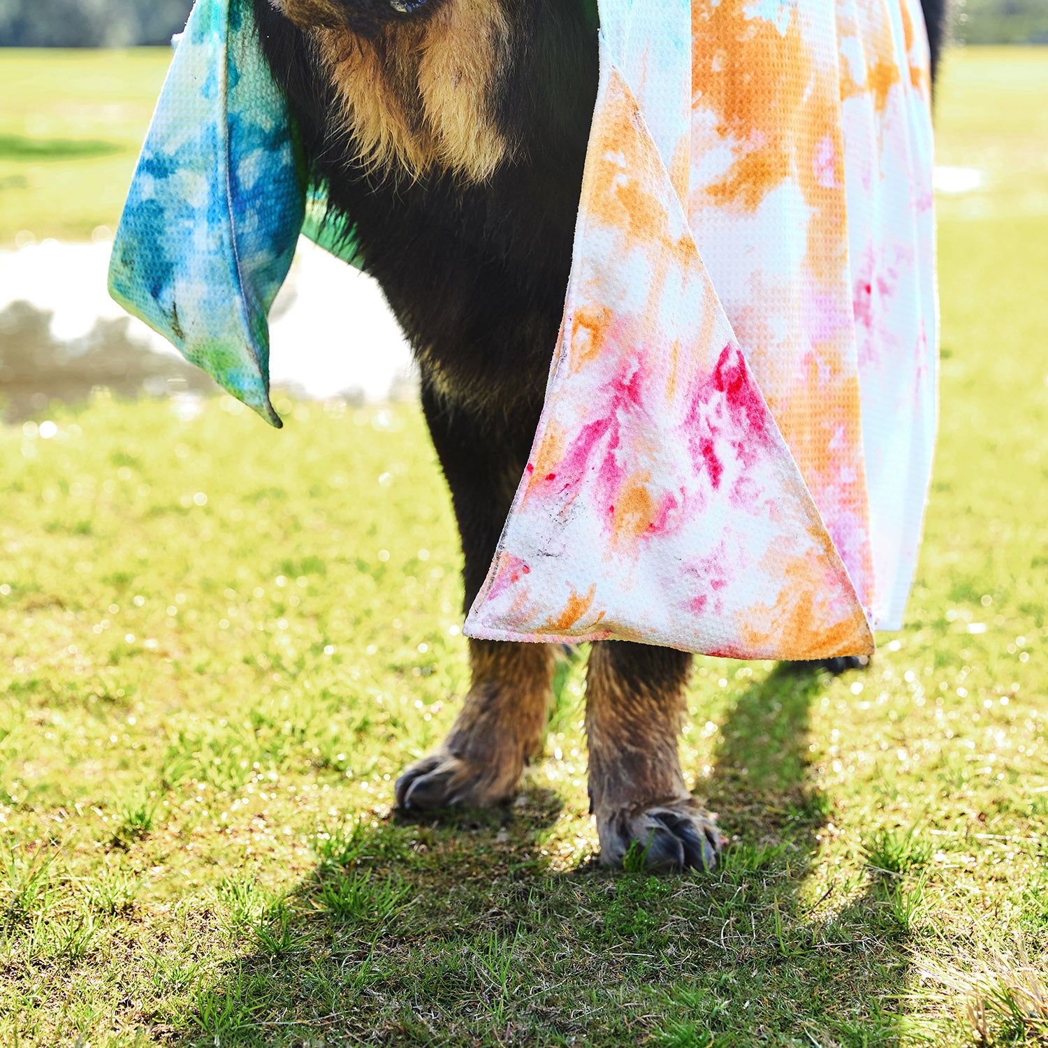 Dock & Bay Dog Towel - Sunset Splash – Dock & Bay US
