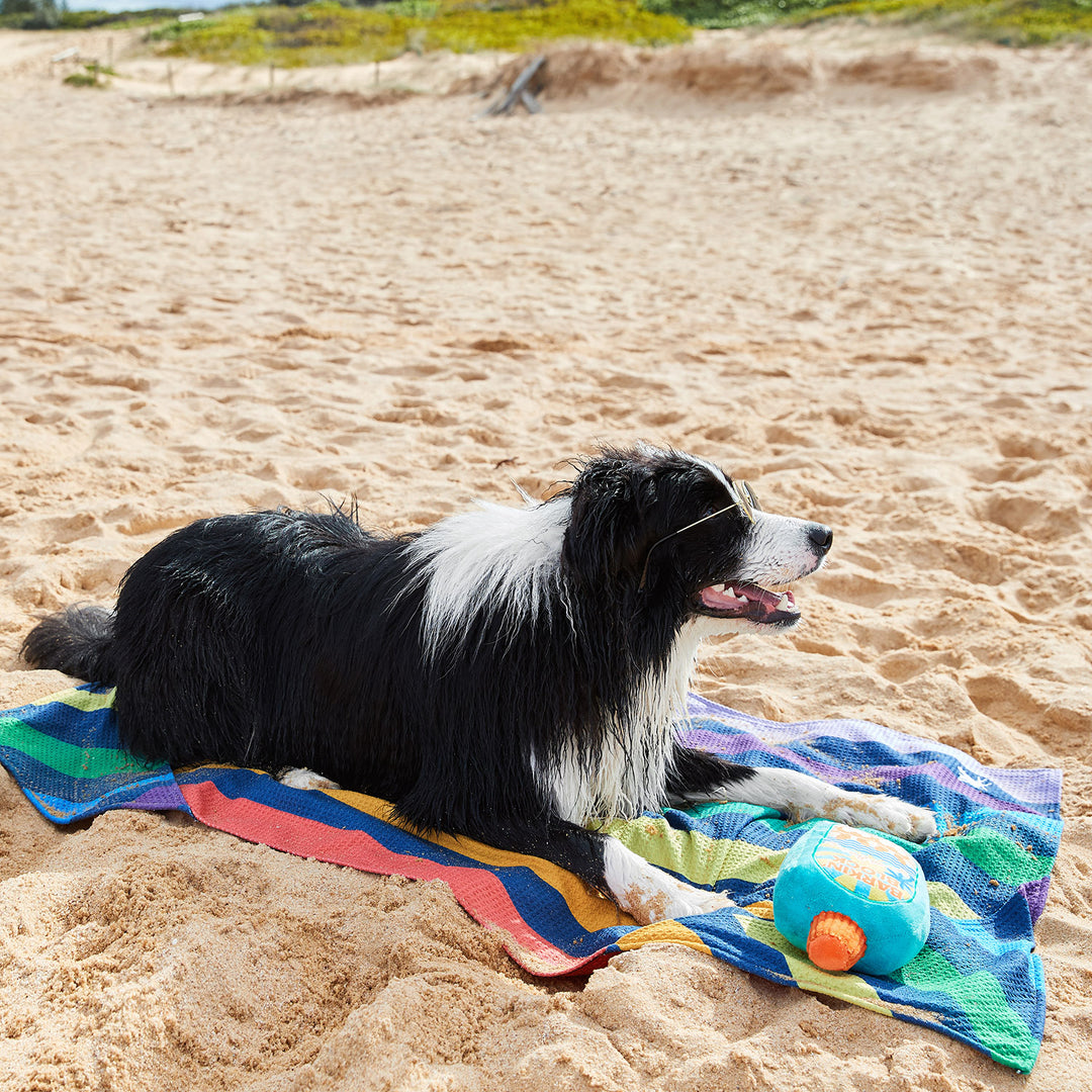 beach towels with dogs on them