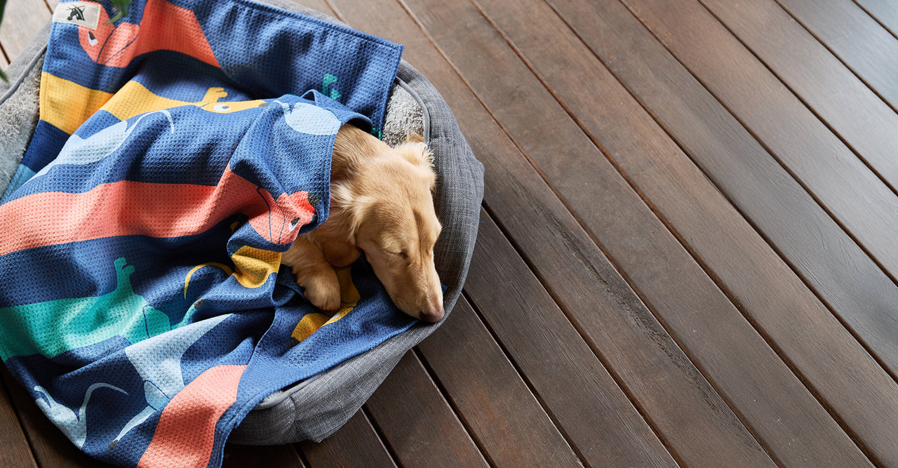 Dock & Bay Dog Towel - Go Long